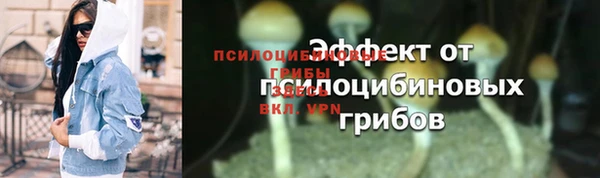 круглые Аркадак