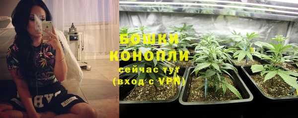 круглые Аркадак