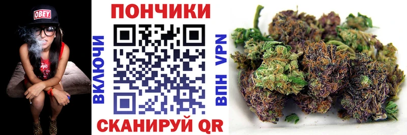 Шишки марихуана конопля  Асино 